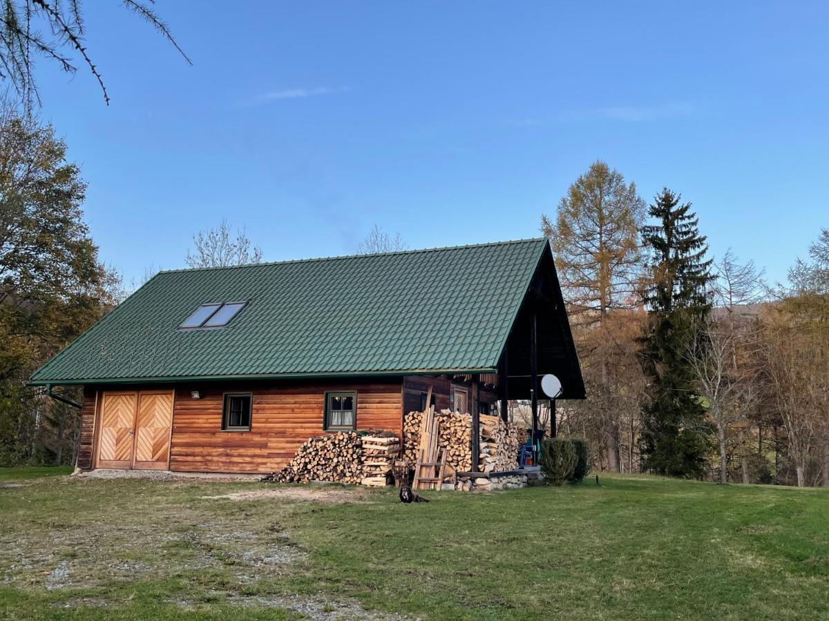 Berghuette, Chalet - Schwarzenberg Am Boehmerwald Schwarzenberg am Bohmerwald 外观 照片