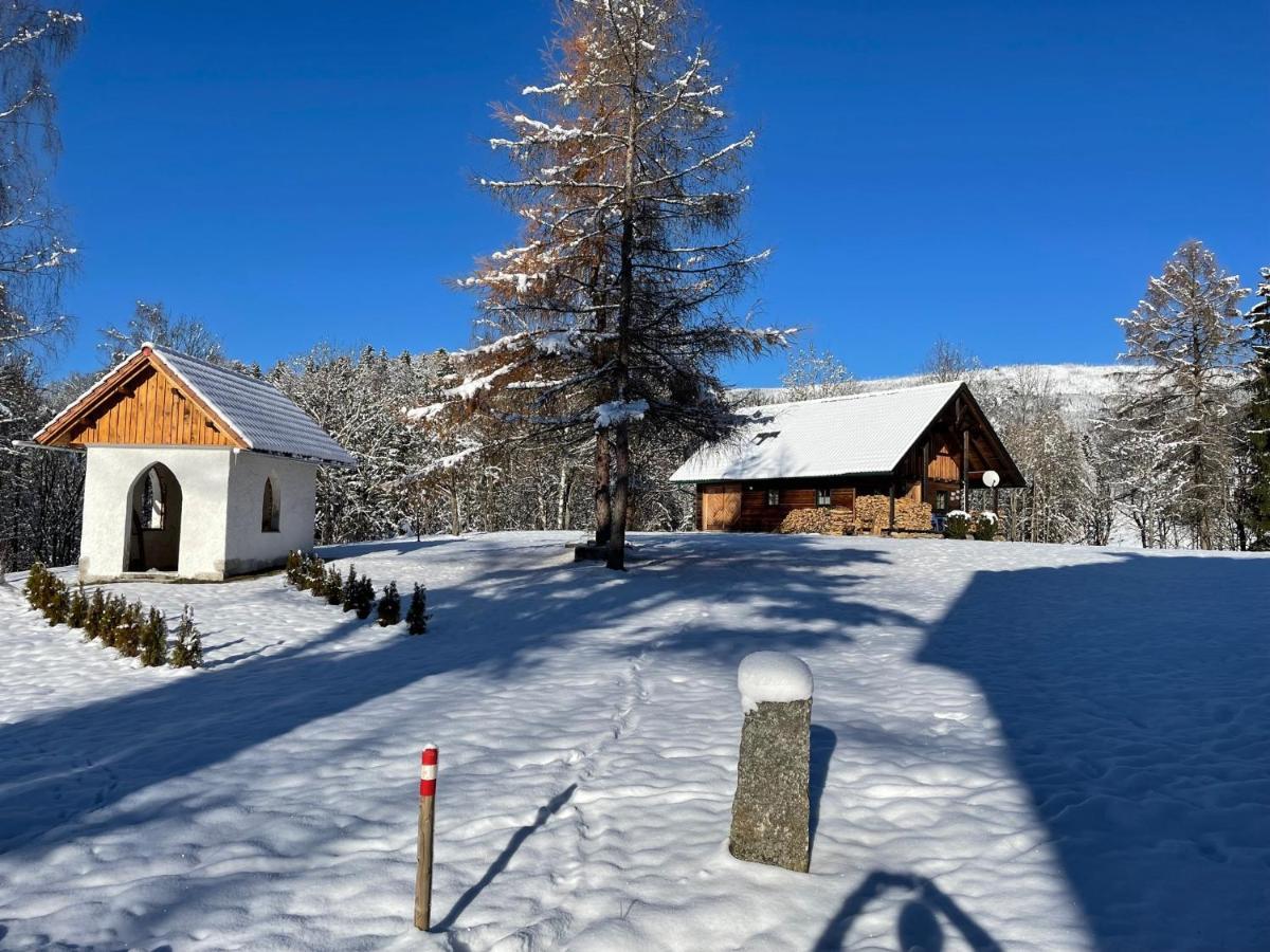 Berghuette, Chalet - Schwarzenberg Am Boehmerwald Schwarzenberg am Bohmerwald 外观 照片